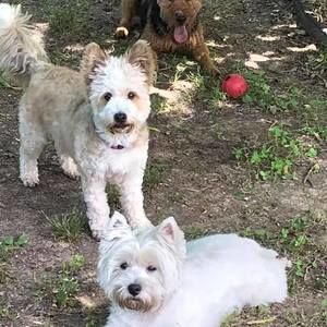 Meet your Posher, Patti